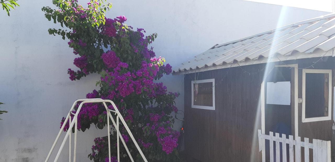 Pousada Cris Garden Bed&Breakfast Фос-ду-Іґуасу Екстер'єр фото